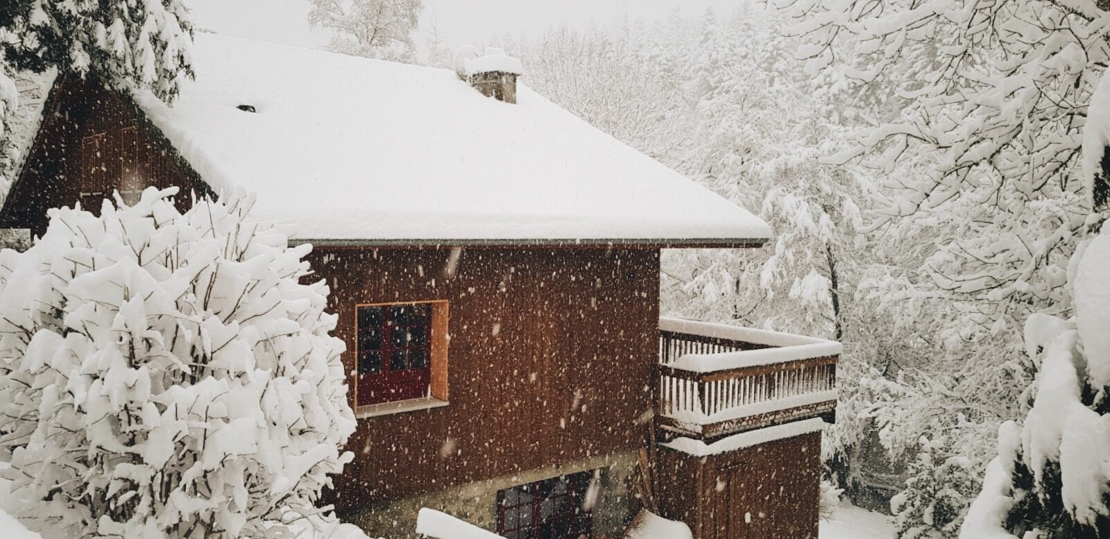 Le Cottage du Lignon, jardin en hiver