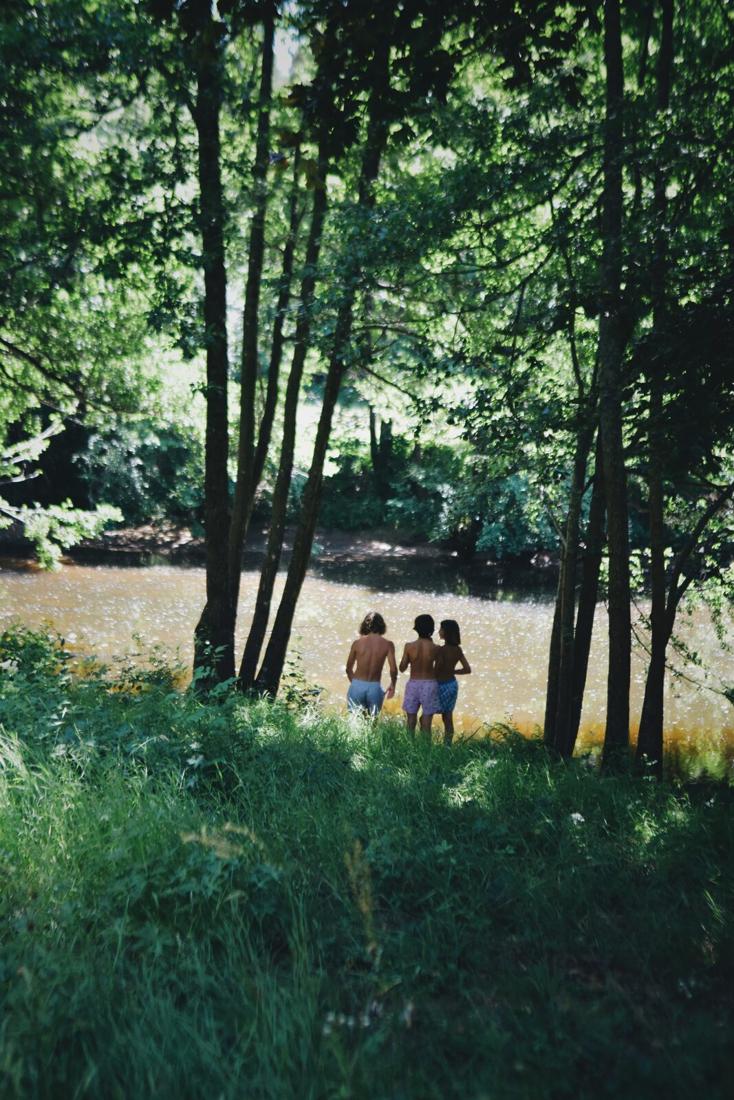 Le Cottage du Lignon, jardin